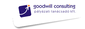 Goodwill Consulting